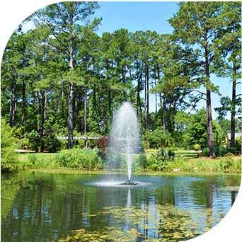 Local Resources - Cape Fear Physical Medicine and Rehab in Fayetteville, NC